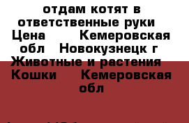 отдам котят в ответственные руки › Цена ­ 1 - Кемеровская обл., Новокузнецк г. Животные и растения » Кошки   . Кемеровская обл.